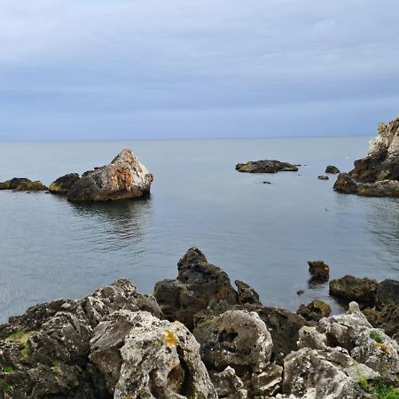 Hotel Tyulenovo Dış mekan fotoğraf