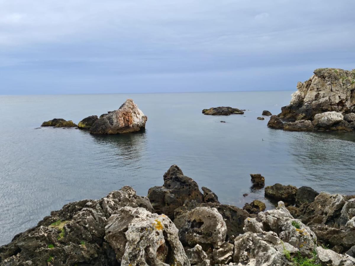 Hotel Tyulenovo Dış mekan fotoğraf